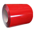 PPGI